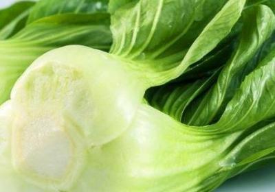 4月蔬菜有哪些应季