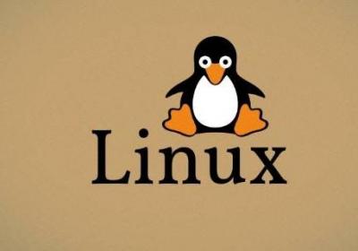 电脑可以直接装linux系统吗
