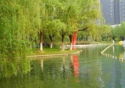 合肥天鹅湖的面积多少