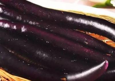 茄子能放多久