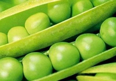 生的豌豆可以冷冻多久