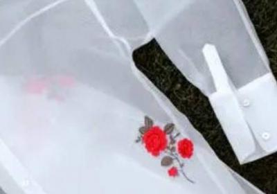 真丝绡是什么面料