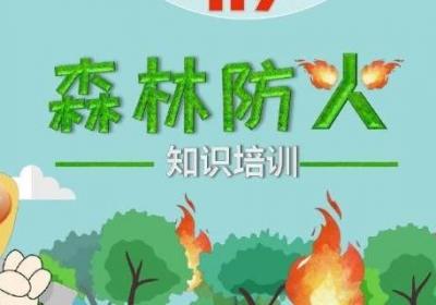 森林防火的重要内容是什么