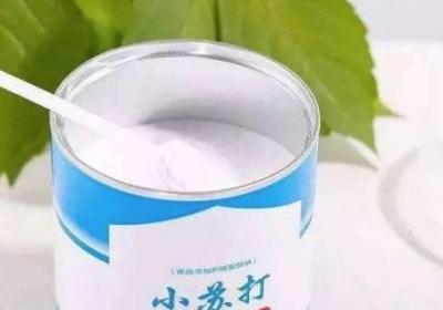 菠萝没有盐用什么代替